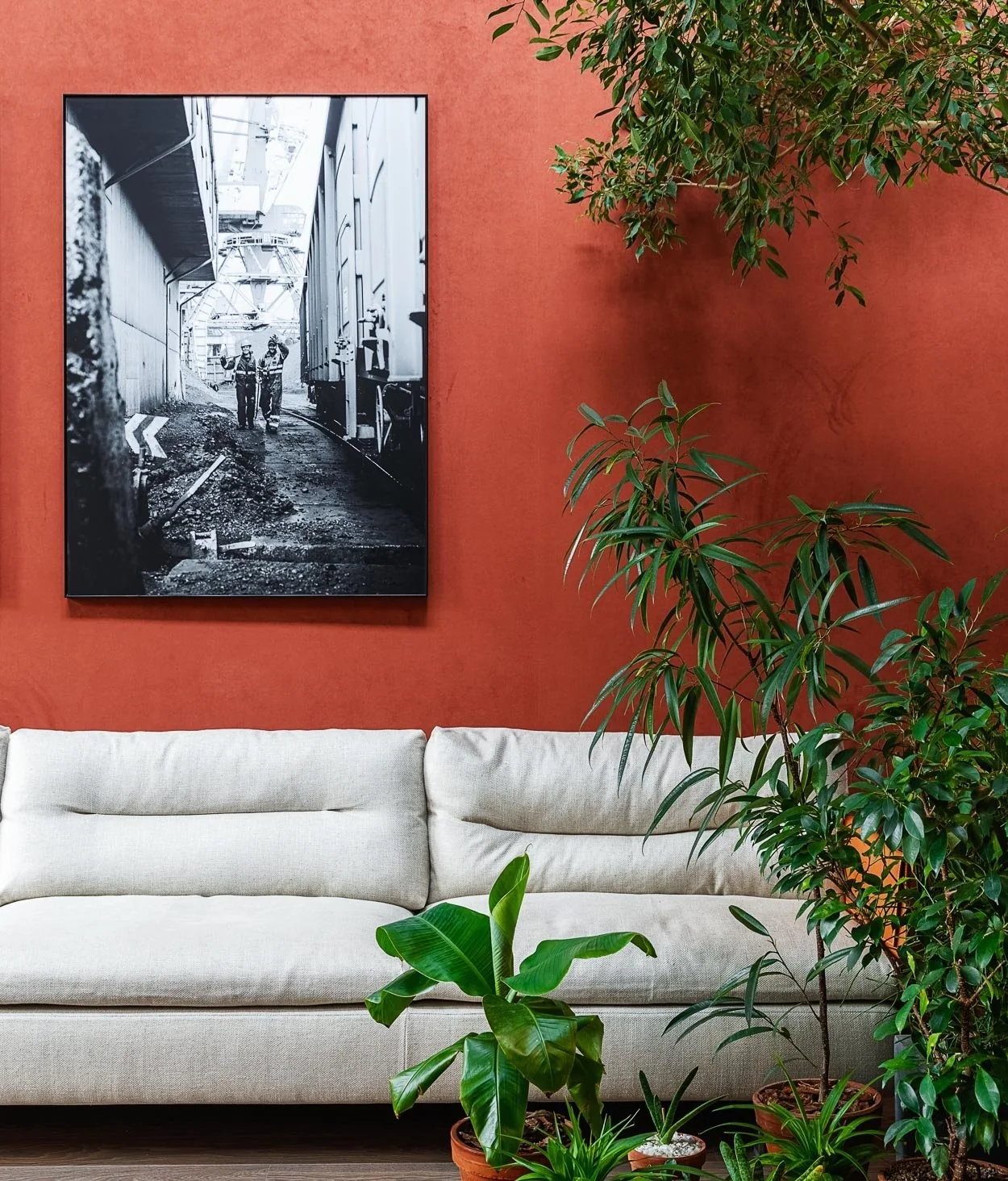 Zona de un showroom en Moscú, Rusia, con pared roja, sofá blanco, plantas y fotografía monocroma.